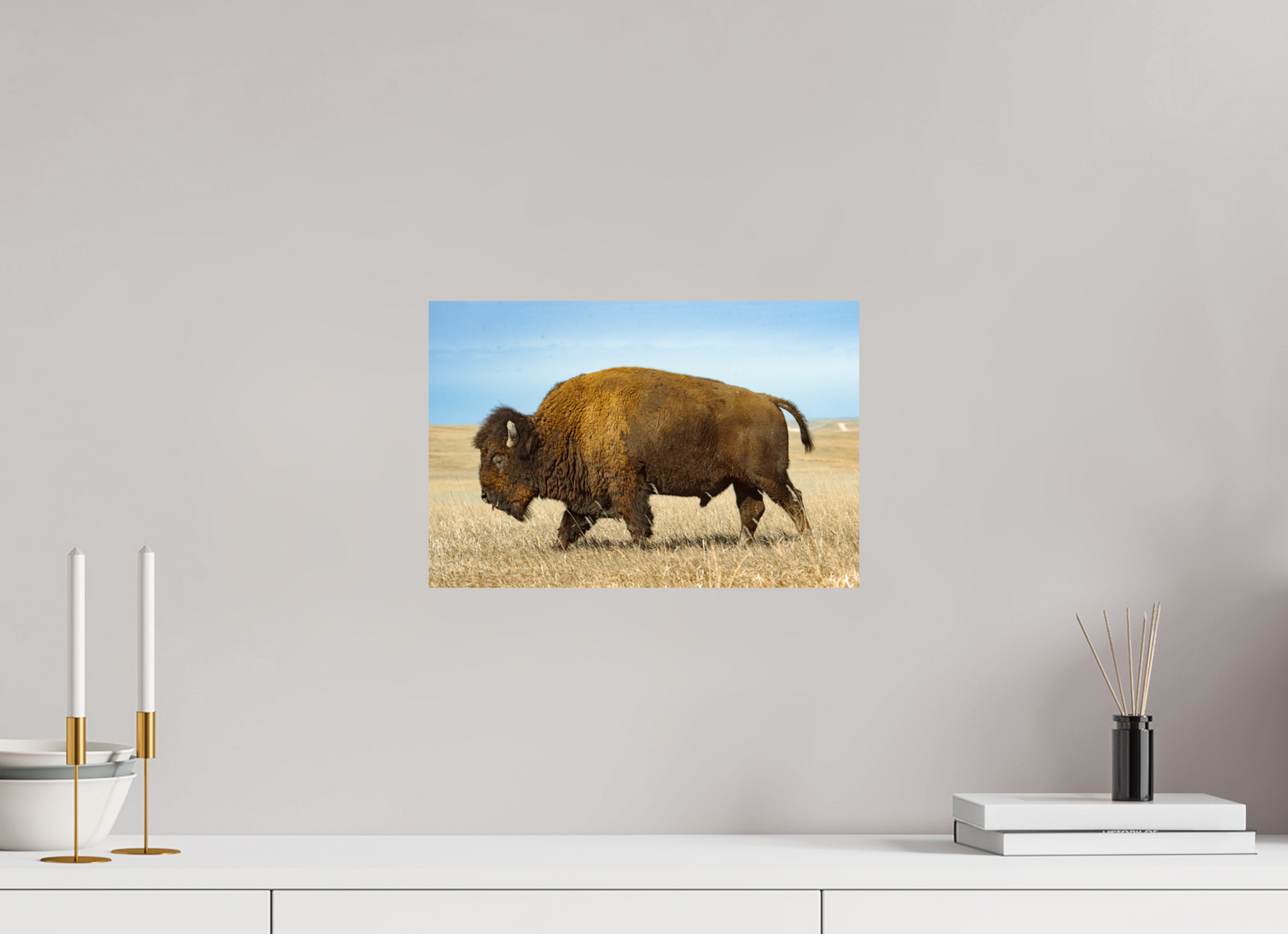 Buffalo 2