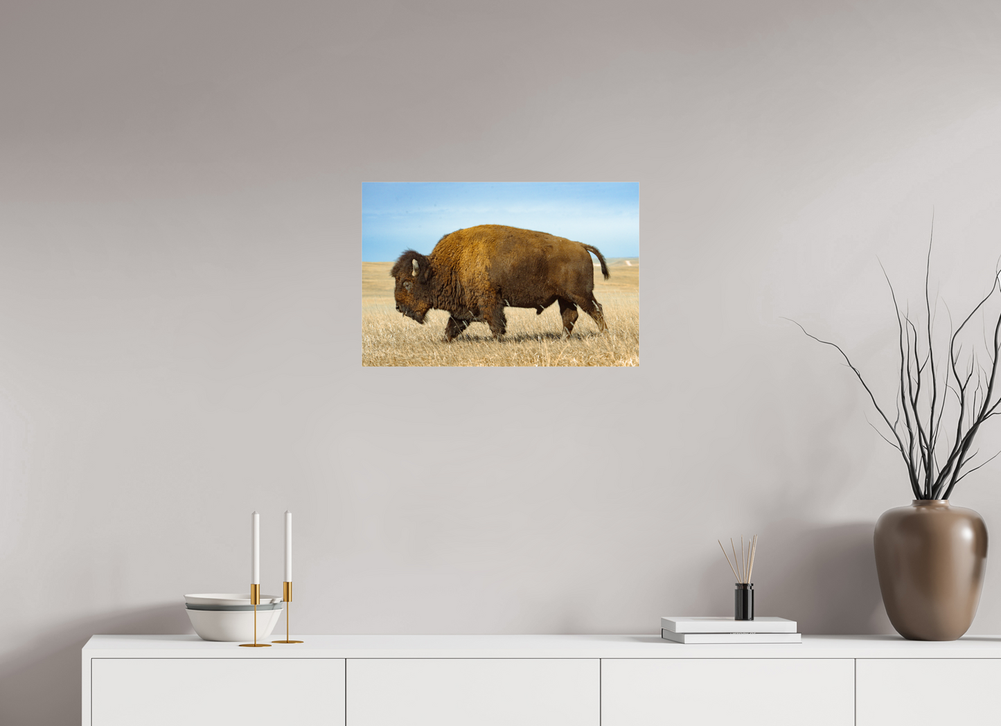 Buffalo 2