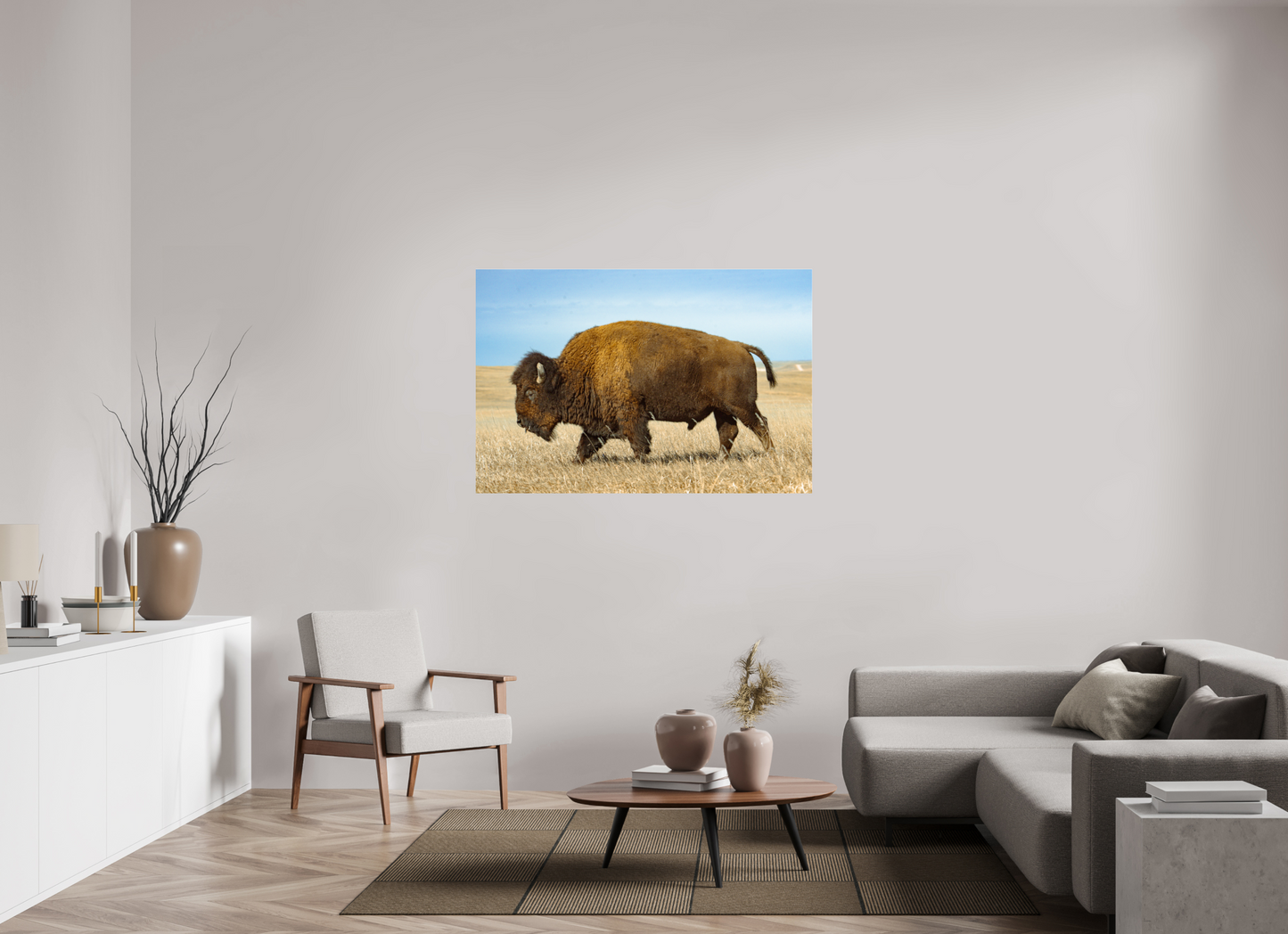Buffalo 2