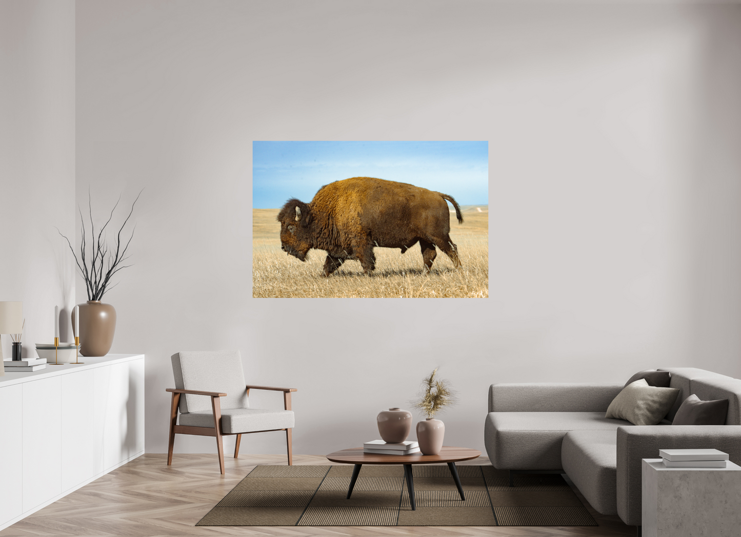 Buffalo 2