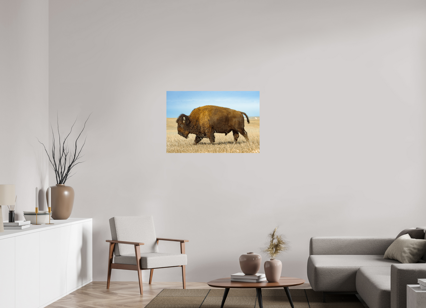 Buffalo 2