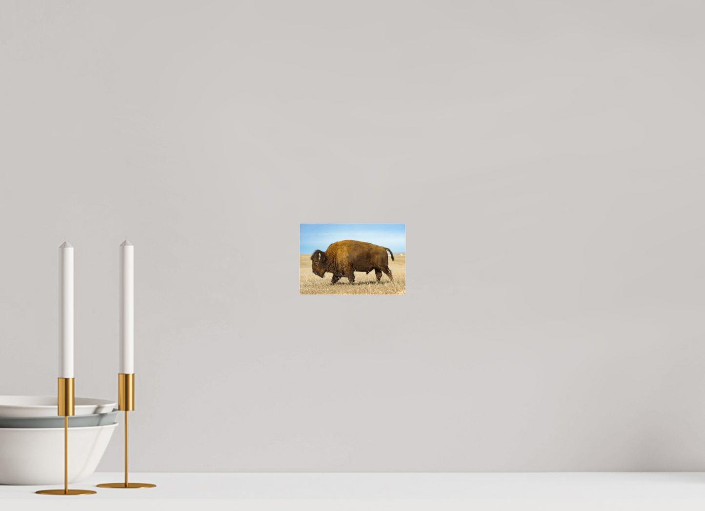 Buffalo 2