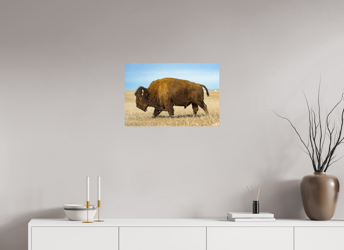 Buffalo 2